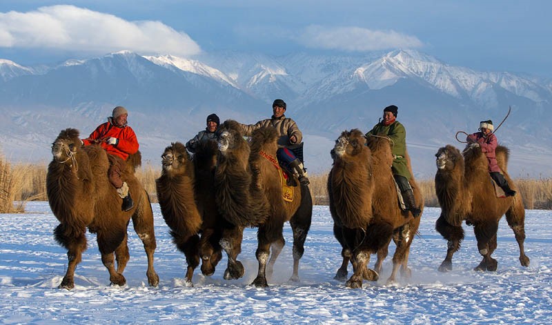 mognolia festival and events 